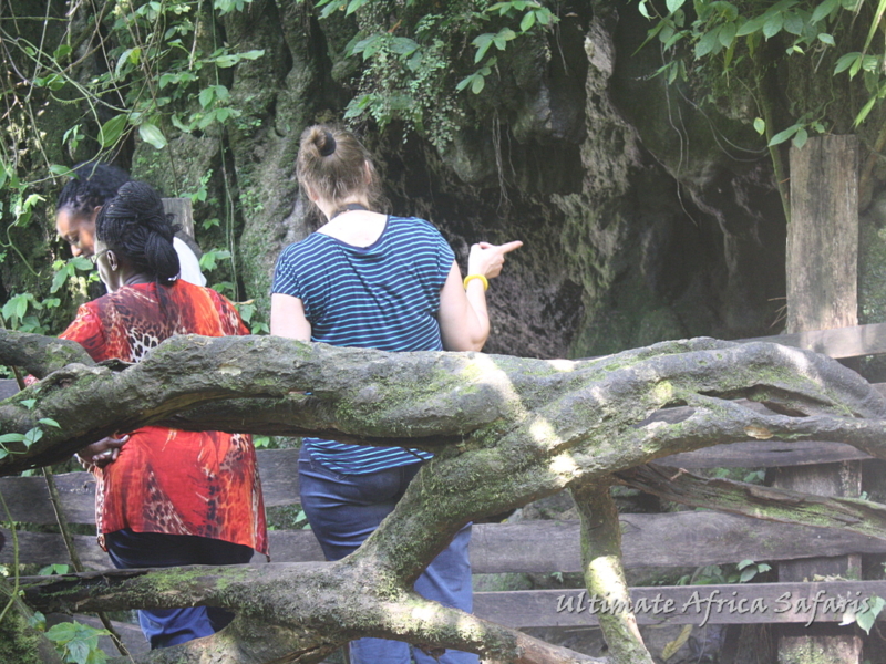 Mount Elgon National Park