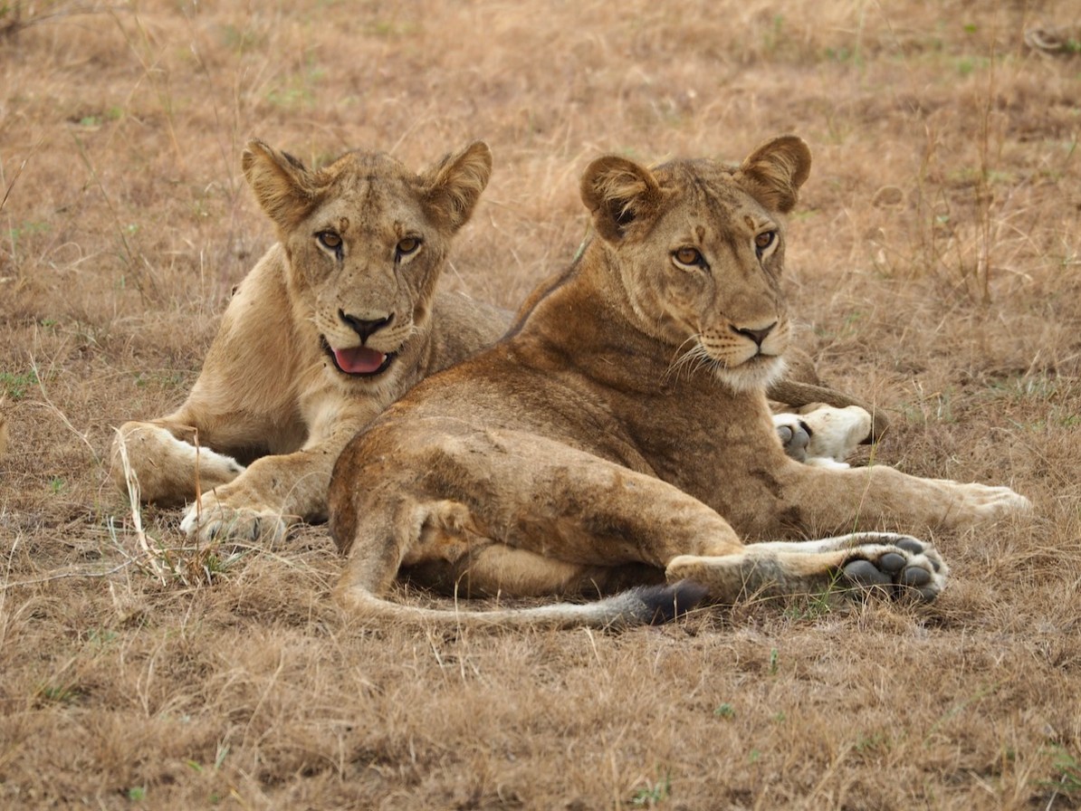 Lake Nakuru National Park